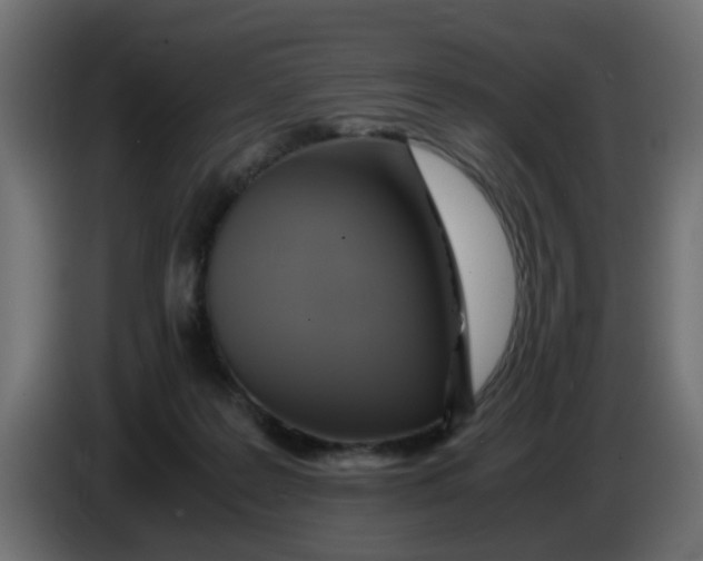 X0000083560219200703021728