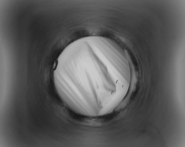 X0000083560221200703021728