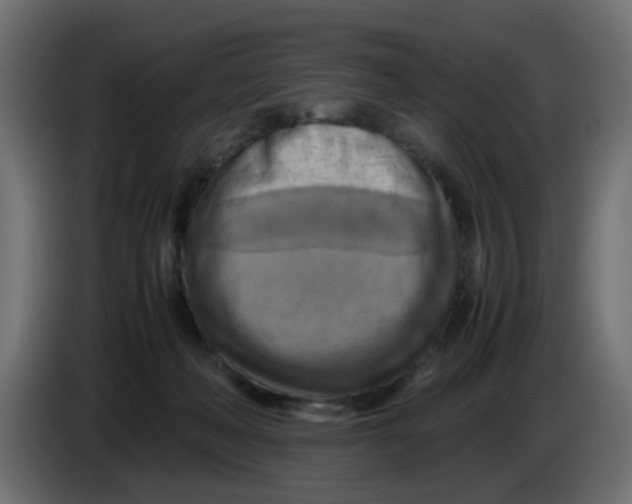 X0000083560222200703021728