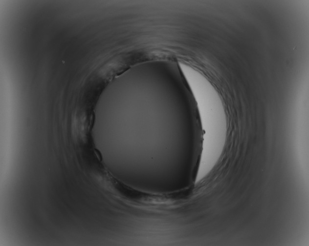 X0000083560223200703021728