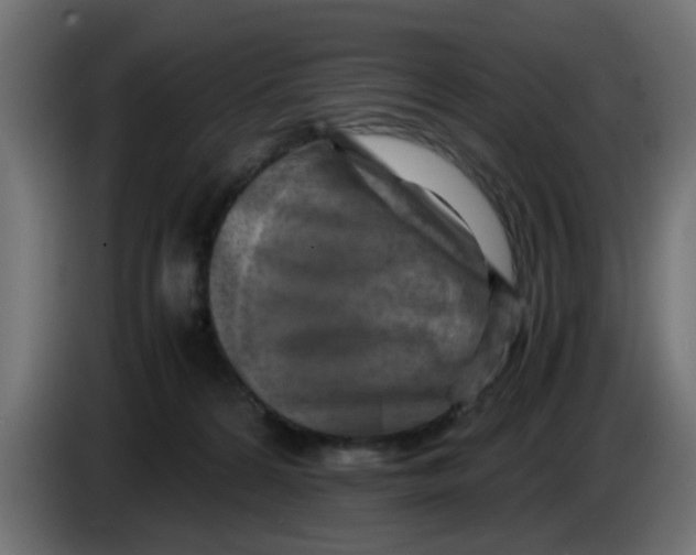 X0000083560224200703021728