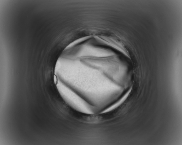 X0000083560225200703021728