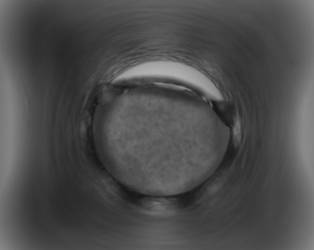 X0000083560229200703021728