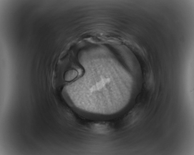 X0000083560232200703021728