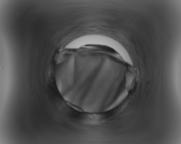 X0000083560233200703021728