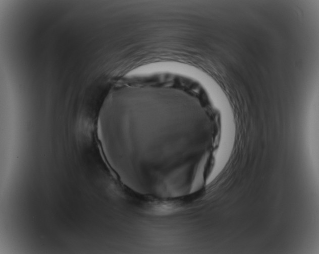 X0000083560235200703021728