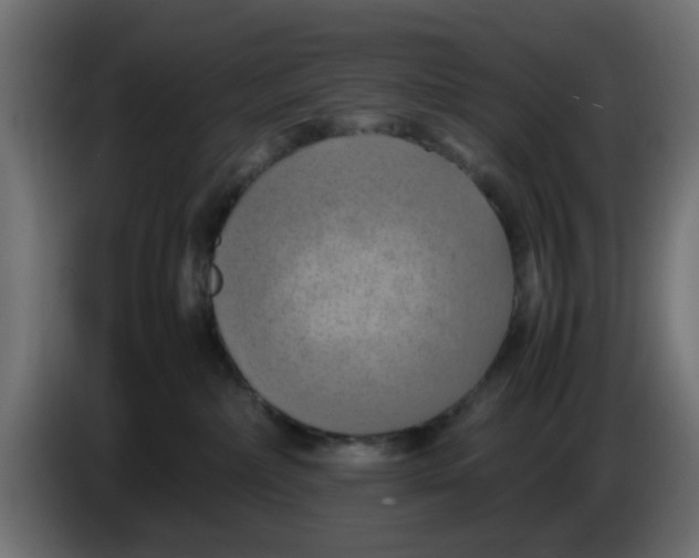 X0000083560236200703021728