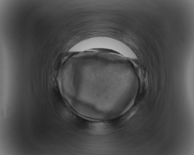 X0000083560237200703021728