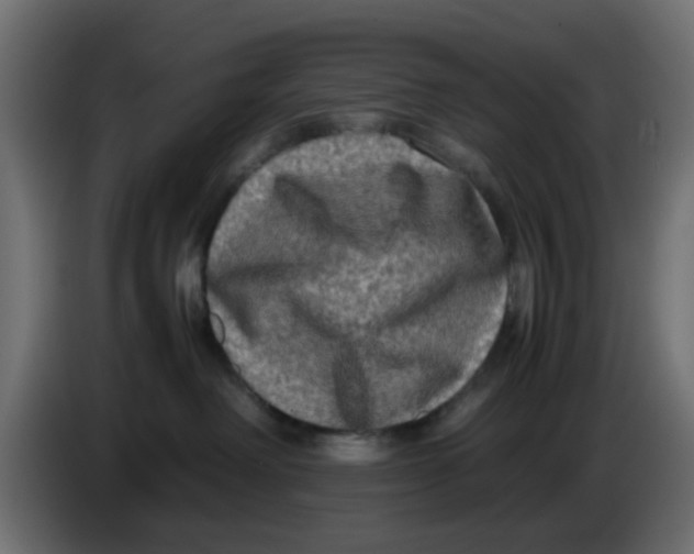 X0000083560238200703021728