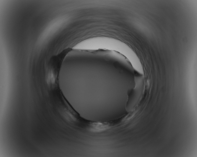 X0000083560239200703021728