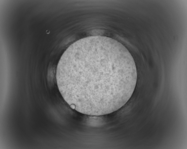 X0000083560240200703021728