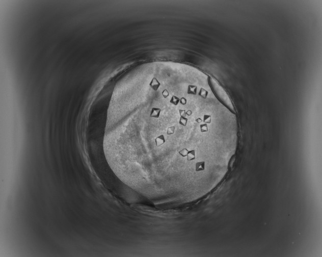 X0000083560241200703021727