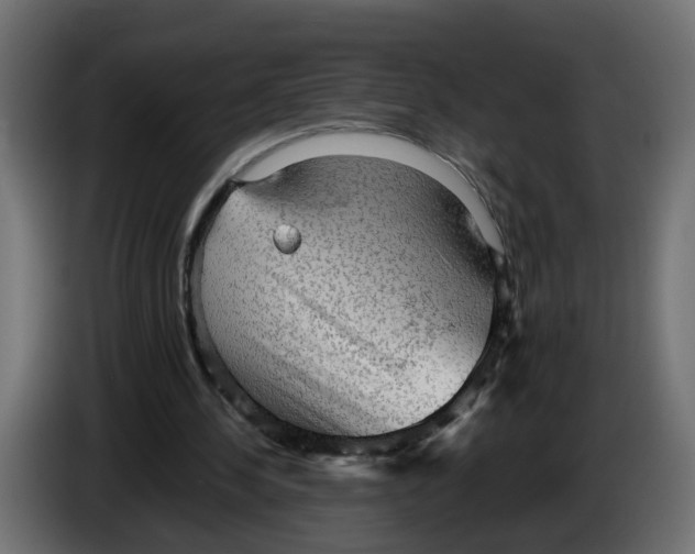 X0000083560244200703021727