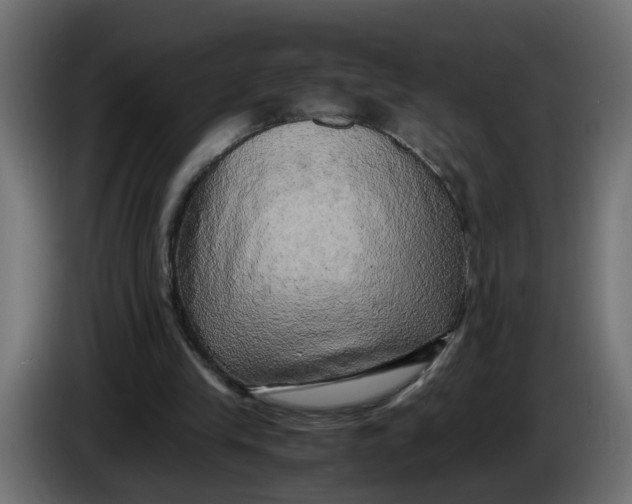 X0000083560245200703021727