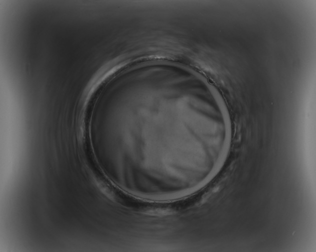 X0000083560247200703021727