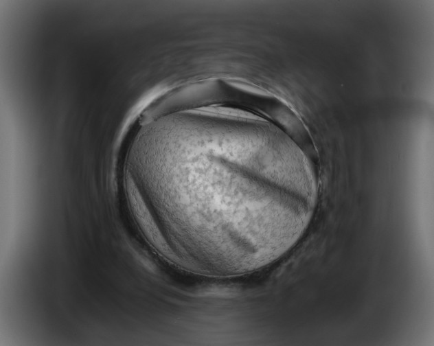 X0000083560248200703021727