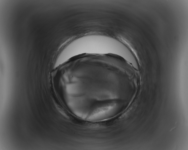 X0000083560249200703021727