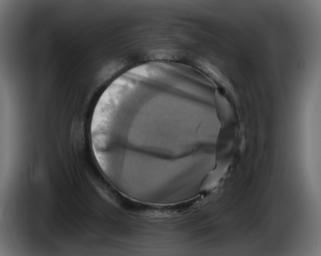 X0000083560250200703021727