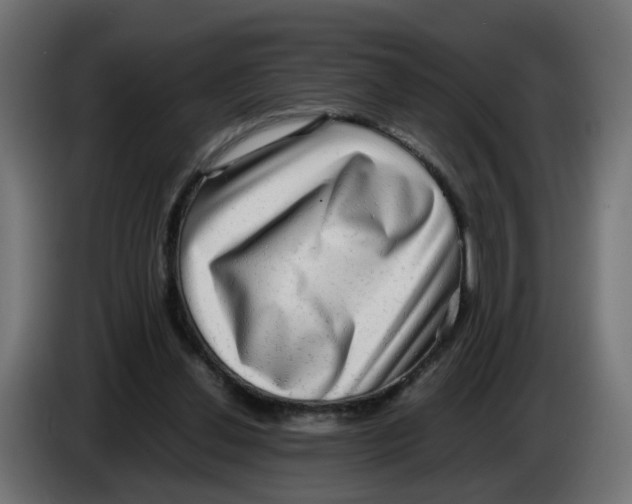 X0000083560252200703021727