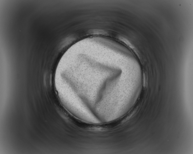 X0000083560253200703021727