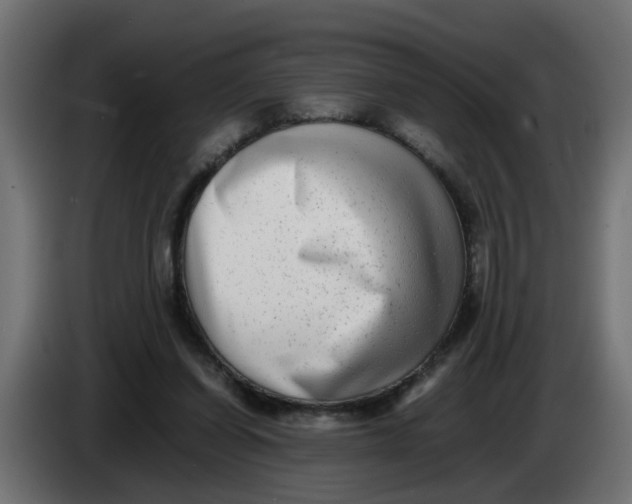 X0000083560254200703021727