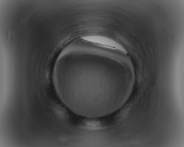 X0000083560258200703021727