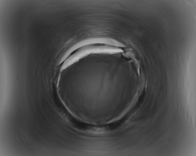 X0000083560260200703021727