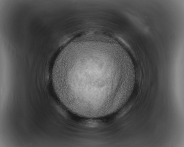 X0000083560261200703021727