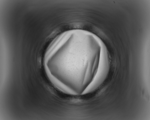 X0000083560262200703021727