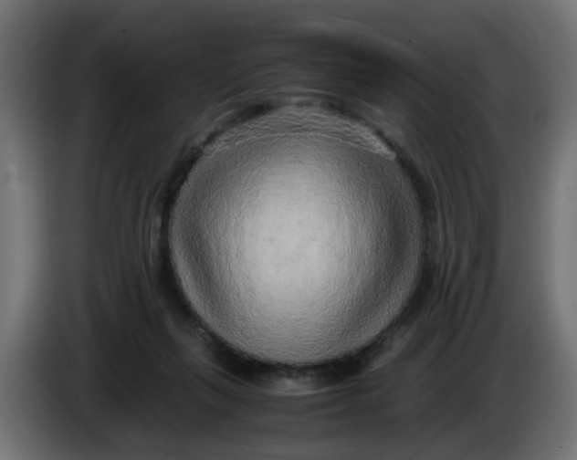 X0000083560263200703021727