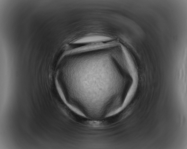 X0000083560265200703021727