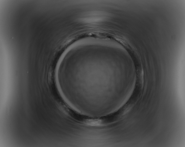 X0000083560266200703021727