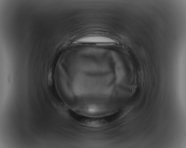 X0000083560267200703021727