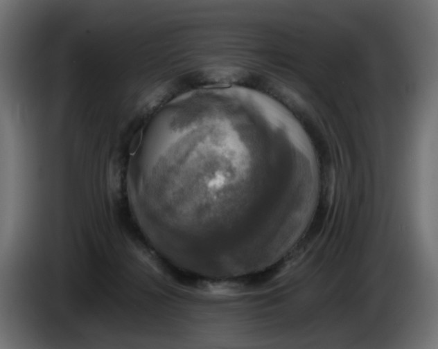 X0000083560268200703021727