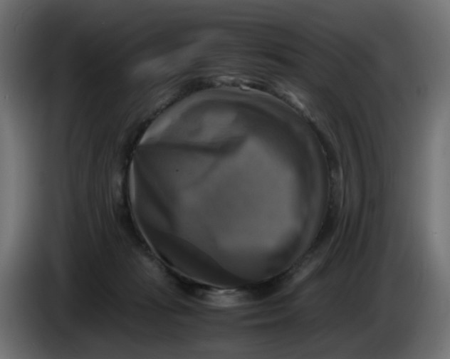 X0000083560269200703021727