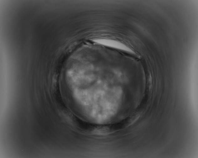 X0000083560271200703021727