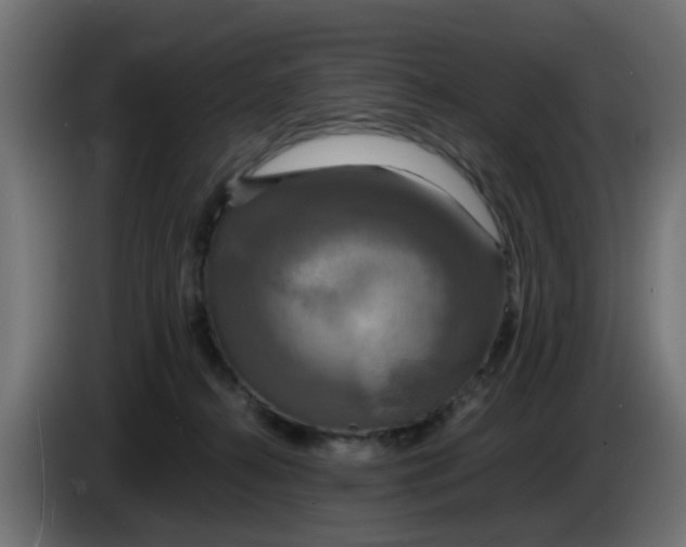 X0000083560272200703021727