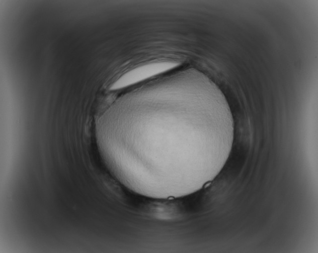 X0000083560275200703021727