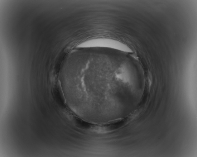 X0000083560276200703021727