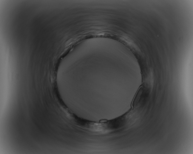 X0000083560277200703021727