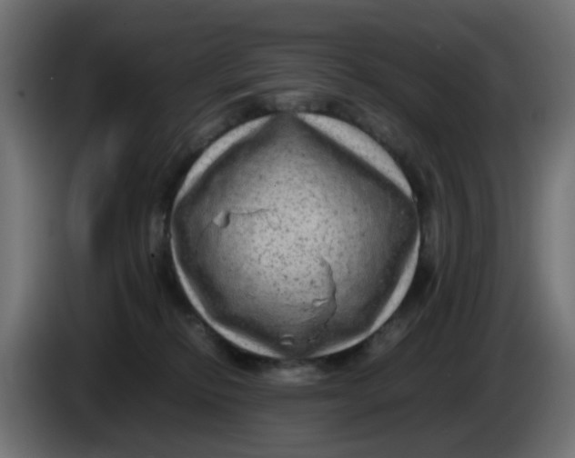 X0000083560278200703021727