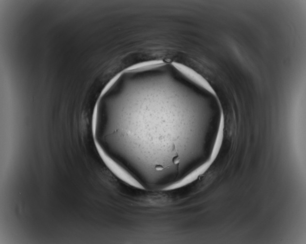 X0000083560279200703021727