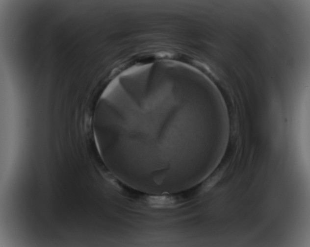 X0000083560281200703021727