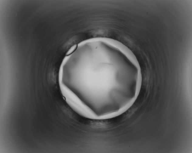 X0000083560282200703021727