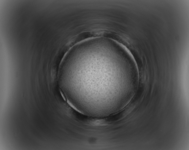 X0000083560283200703021727