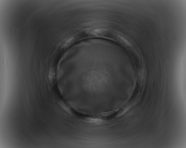 X0000083560284200703021727