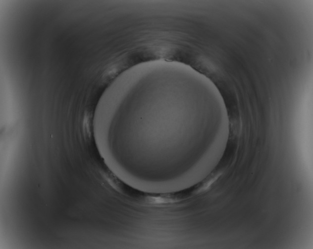 X0000083560286200703021728