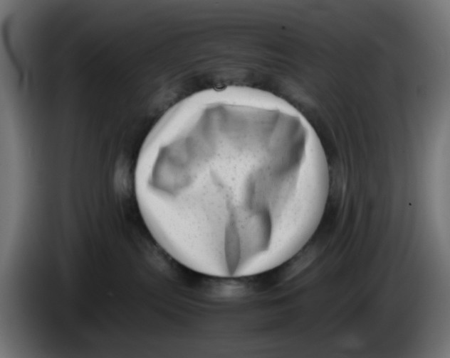 X0000083560287200703021728