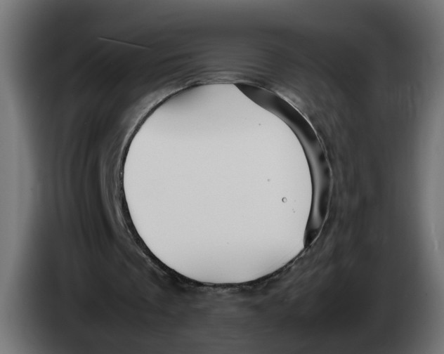 X0000083560289200703021727