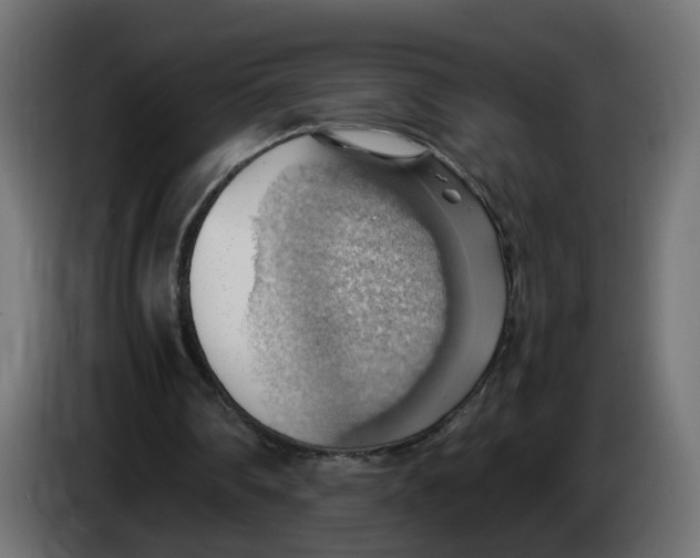 X0000083560290200703021727